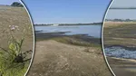 La Calafat poți trece la picior Dunărea până la Vidin