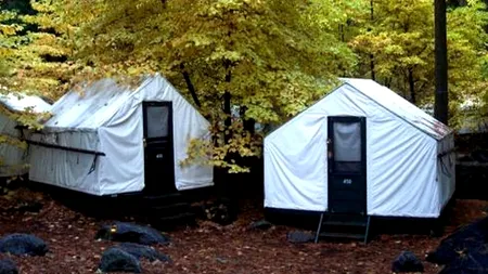 Virusul care AMENINȚĂ unul dintre cele mai vizitate locuri de pe Pământ: E MORTAL și nu se cunoaște niciun leac