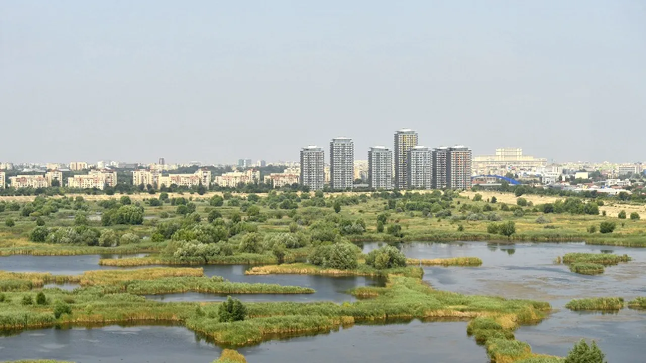 Parcul Văcărești va fi trecut în administrarea Primăriei Capitalei și a unui ONG