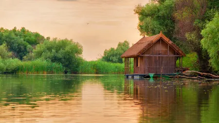 Au fost eliberați peste 1.000 de puieți de sturion în Dunăre. Acțiunea antibraconaj are ca scop repopularea speciei