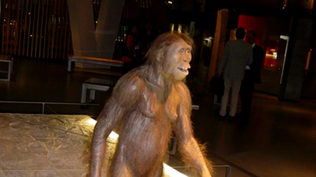 Primul strămoș biped al omului continua să trăiască în copaci