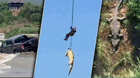 Mai rău decât în filmele horror. Ca să recupereze trupul unui afacerist dispărut, autoritățile din Africa de Sud au capturat crocodilul care l-ar fi mâncat