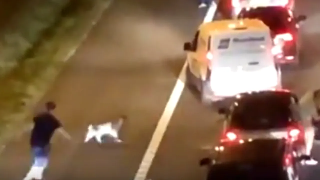 Haos de nedescris: Motivul neobișnuit pentru care a fost închisă o autostradă din Marea Britanie - VIDEO