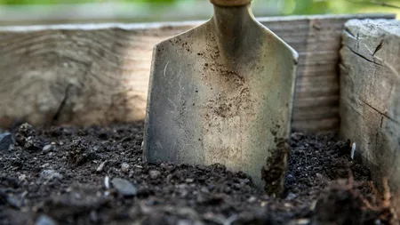 PANDEMIE. Țara în care se pregătesc 1,5 milioane de morminte pentru morții de coronavirus. „Asta este realitatea!”