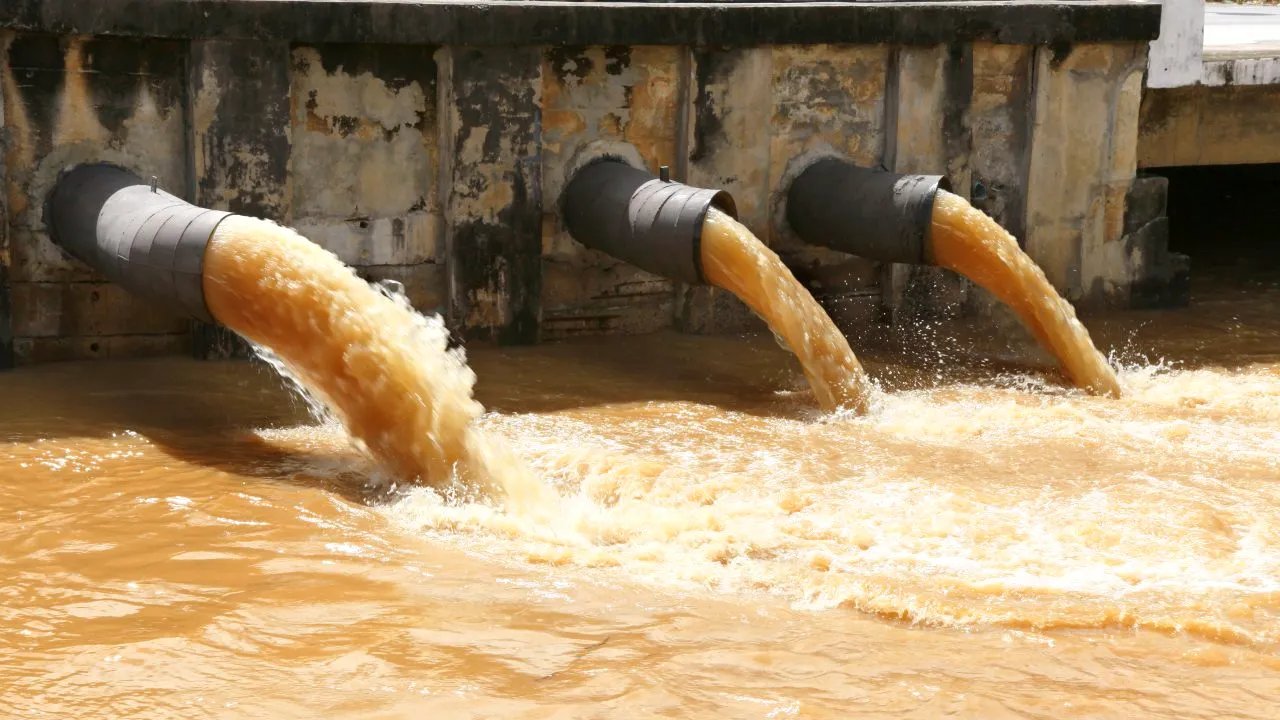 Un sfert din cursurile de apă ale lumii sunt poluate cu niveluri toxice de medicamente. Care sunt cele mai afectate râuri