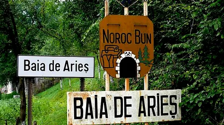 Zăcământul de aur de la Baia de Arieș, explorat de o firmă fără angajați, administrată de un șef PSD. Reacția liderului PSD Costinești