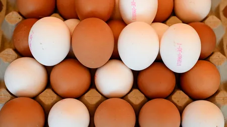 Care este, de fapt, diferența dintre ouăle albe și ouăle brune. Explicația dată de un specialist