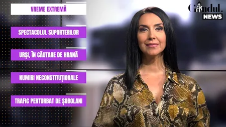 GÂNDUL NEWS. Traficul din Capitală, dat peste cap de șobolanii care au ros cablurile semafoarelor (VIDEO)