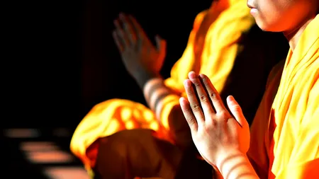 Liv Yu, PSD și Perioada Găștilor Combatante