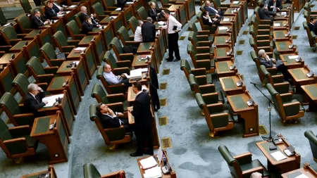 PSD își reconfirmă majoritatea în Senat. Maya Teodoroiu îl va înlocui pe Toni Greblă la Curtea Constituțională