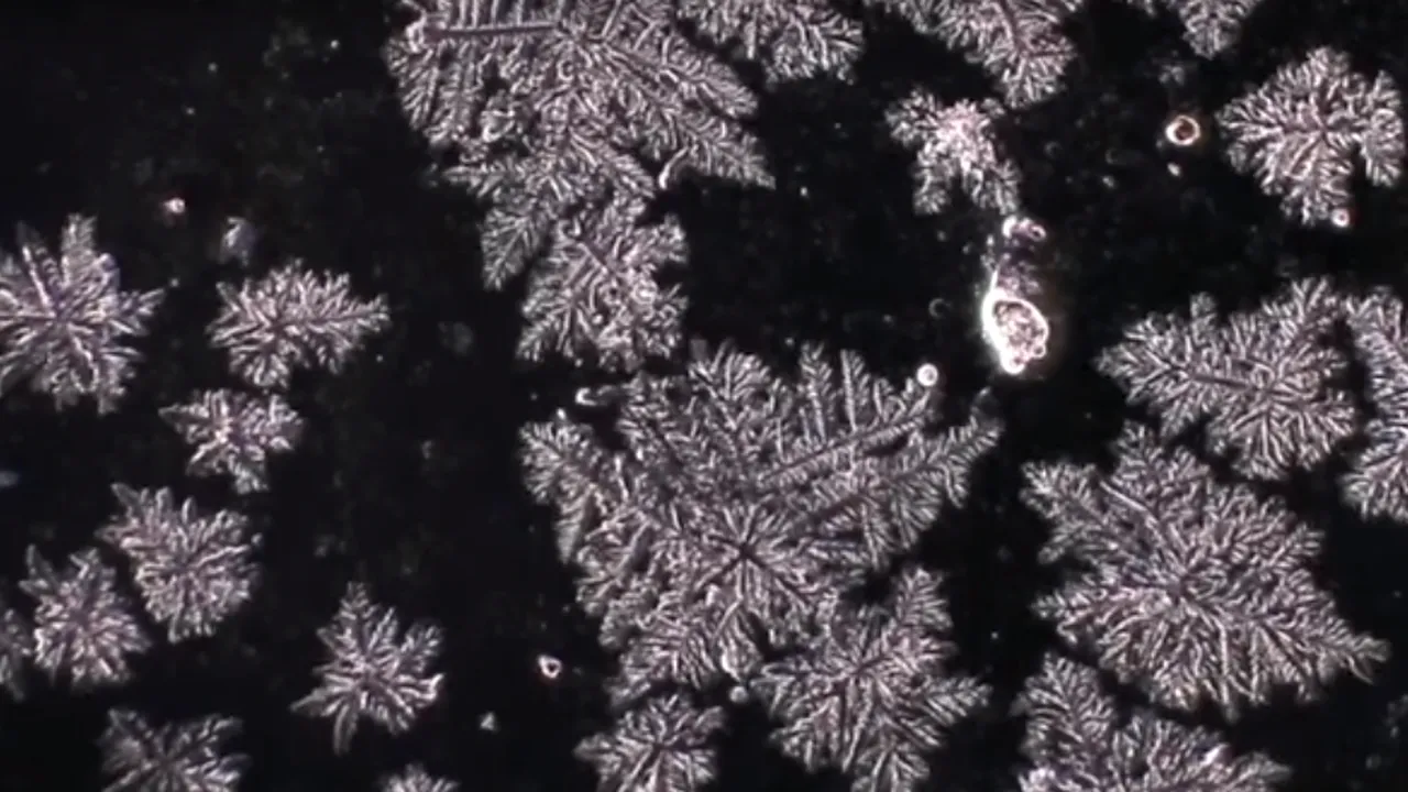 Cum arată lacrimile la microscop. Rezultatele surprinzătoare ale unui experiment inedit 