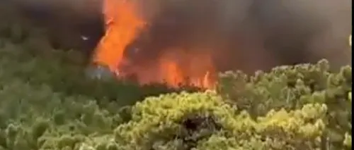Incendiile forestiere din sudul Turciei au ajuns în stațiunile de pe litoral: Mai multe hoteluri din Marmaris au fost evacuate