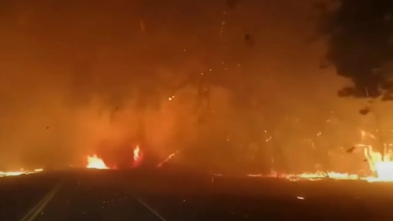 Incendiile au făcut ravagii în California. Guvernul solicită ajutorul statelor vecine (VIDEO)