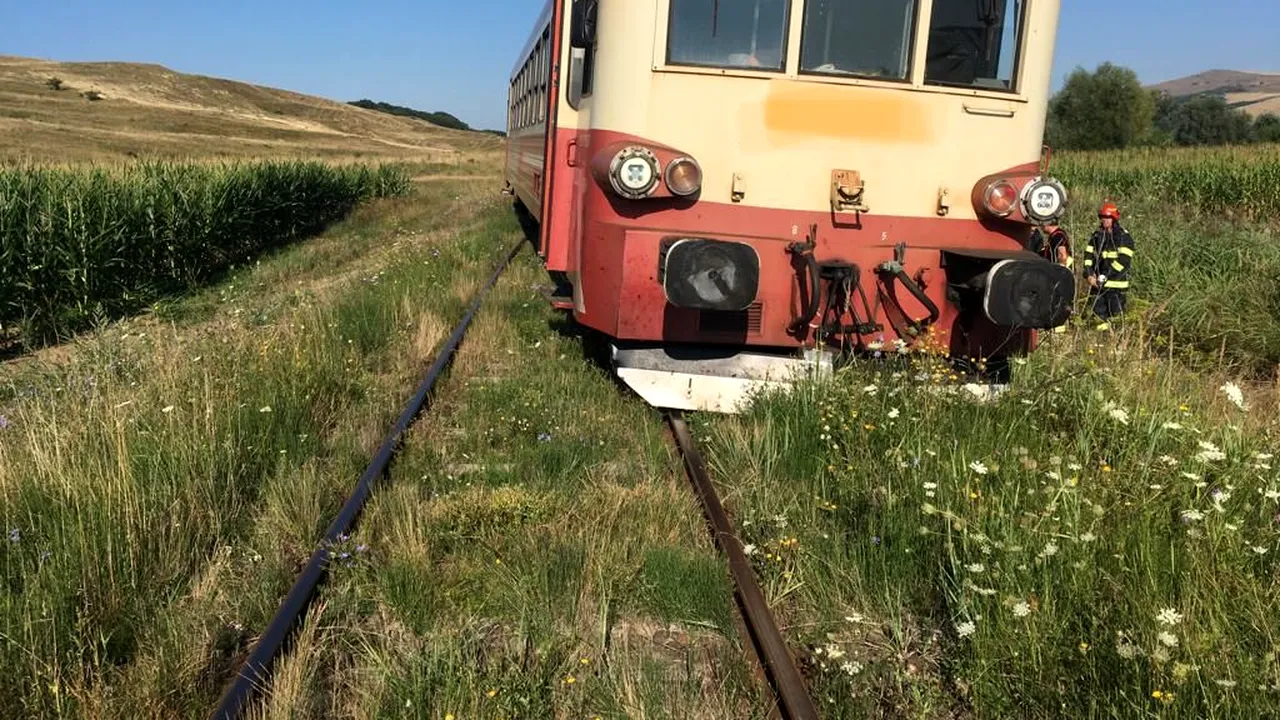 O vacă a provocat deraierea unui tren regio în Mureș. Intervenția pompierilor