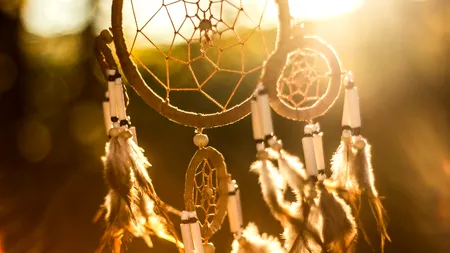 Cele mai comune vise. Un psiholog explică semnificația lor