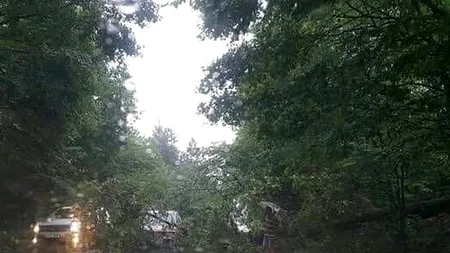 Un român a murit și altul a fost rănit grav în urma unei furtuni puternice în Malta