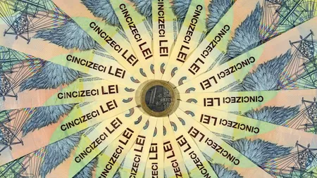 Cum a evoluat moneda națională luni dimineața 