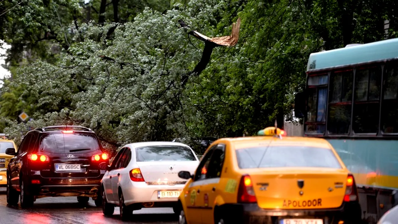 Cod galben de furtună în București, Ilfov și Dâmbovița