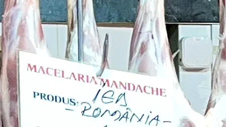 Se spune că iedul este 