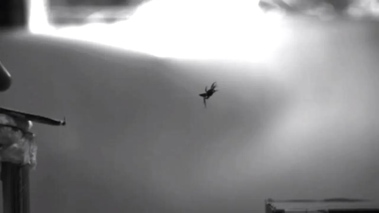 VIDEO. Cum 