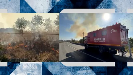 Incediu devastator la marginea Bucureştilor. Traficul este blocat total în zona Glina