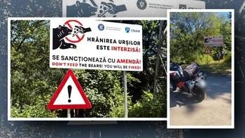 TRAGEDIA de pe Transfăgărășan, analizată de un specialist în comportamentul animalelor. „URSUL mușcă, dar nu se ospătează, chiar dacă a omorât omul”