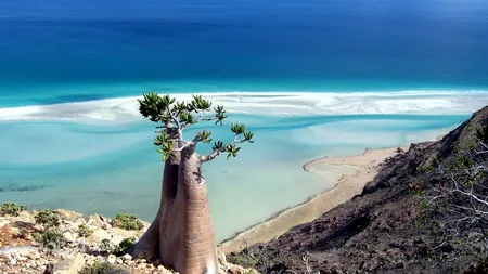 Sute de turiști, blocați pe o insulă izolată din Yemen, supranumită „insula extraterestră”