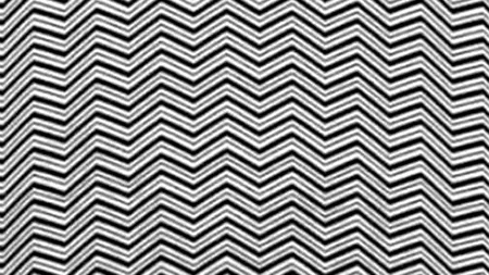 Iluzie optică VIRALĂ | Ești un geniu dacă vezi ce animal se ascunde în această imagine, în maximum 5 secunde