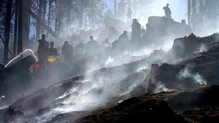Peste 950 de hectare de vegetație și fond forestier din 35 de județe, afectate de INCENDII