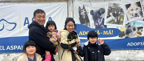 O familie de japonezi din România a adoptat un cățel dintr-un adăpost de la marginea Capitalei