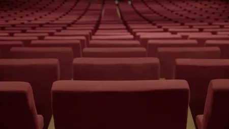 Cultura în pandemie. Numărul spectacolelor și al participanților la activități culturale a scăzut semnificativ în 2020. Datele oficiale ale INS