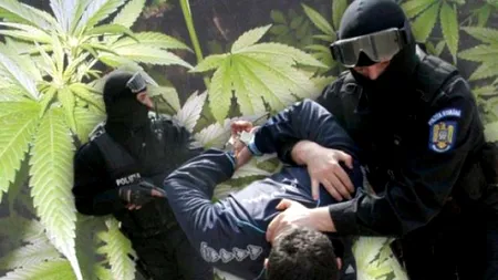 Traficant de droguri, prins în Capitală. Ce cantitate de canabis au recuperat polițiștii, la percheziție