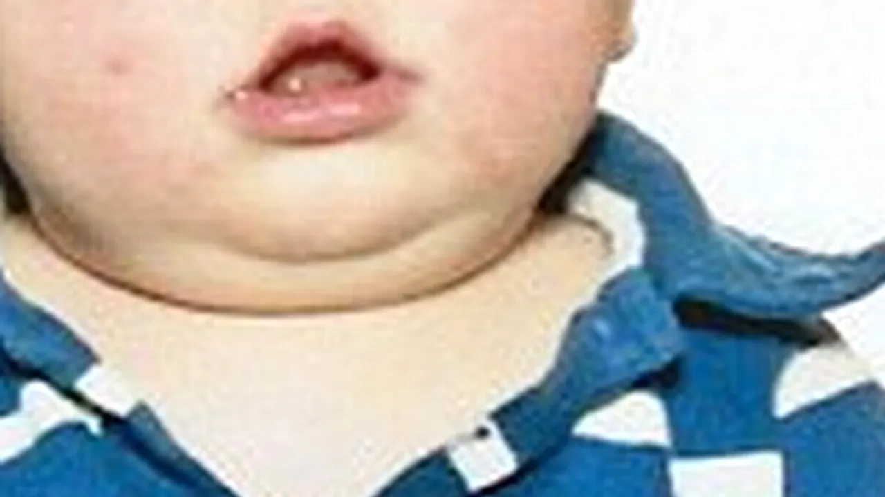 Fotografia care a strâns 525.000 de vizualizări într-o zi