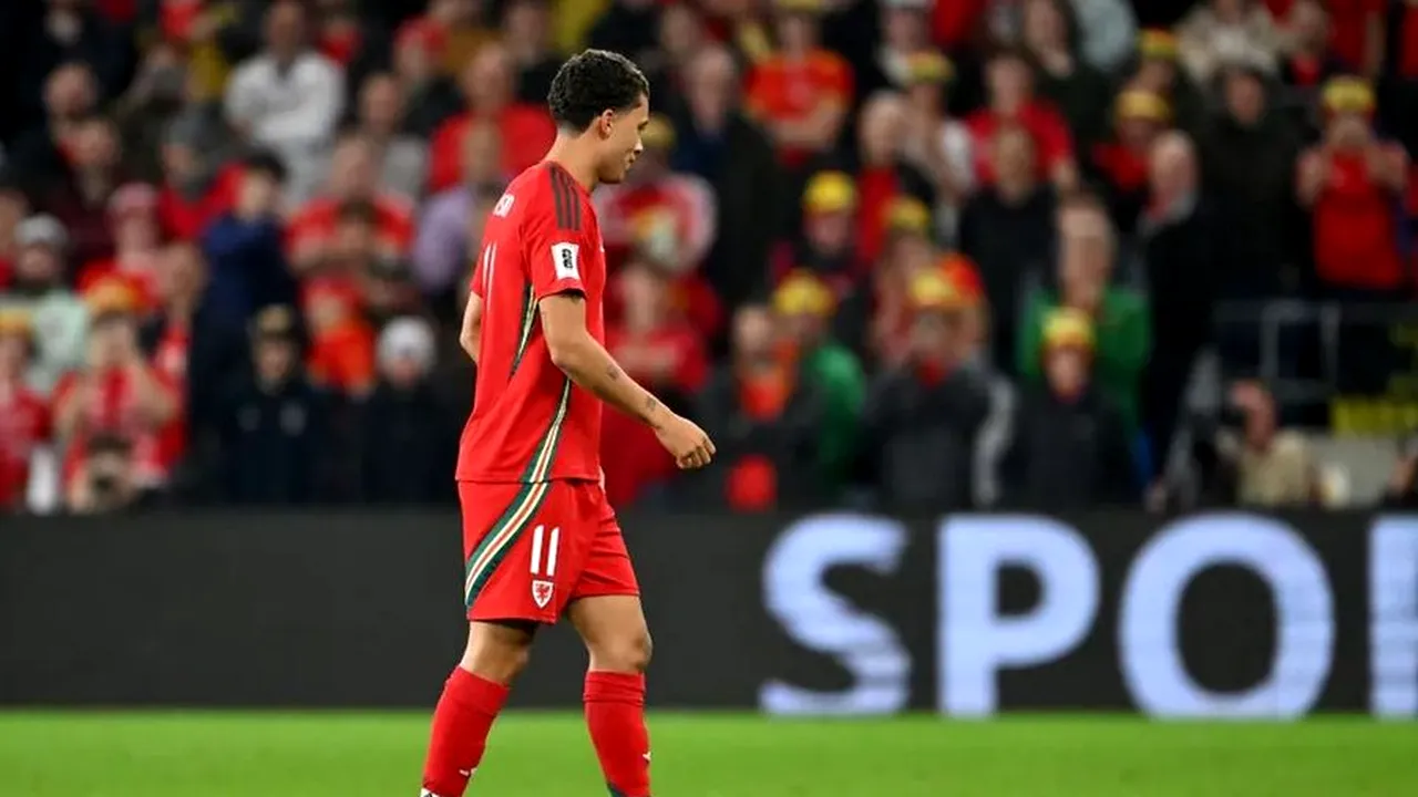 „Jucător” neașteptat la meciul Țara Galilor - Belgia. Cum au reușit jucătorii să dea afară șobolanul de pe teren