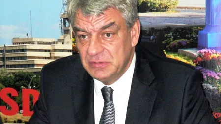 Vicepreședinte PSD: Când de subvenția la vacă se ocupă un ''bou'', subvenția nu mai vine