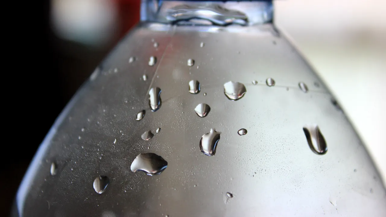 De ce nu ar trebui să refolosim sticlele de apă. Avertismentul cercetătorilor care îți dă fiori