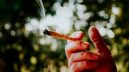 Autocar românesc, BLOCAT la vamă, în Germania. Un pasager avea în rucsac trei kilograme de marijuana