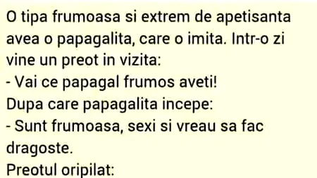 Bancul de sâmbătă | Preotul, tipa frumoasă și papagalița 