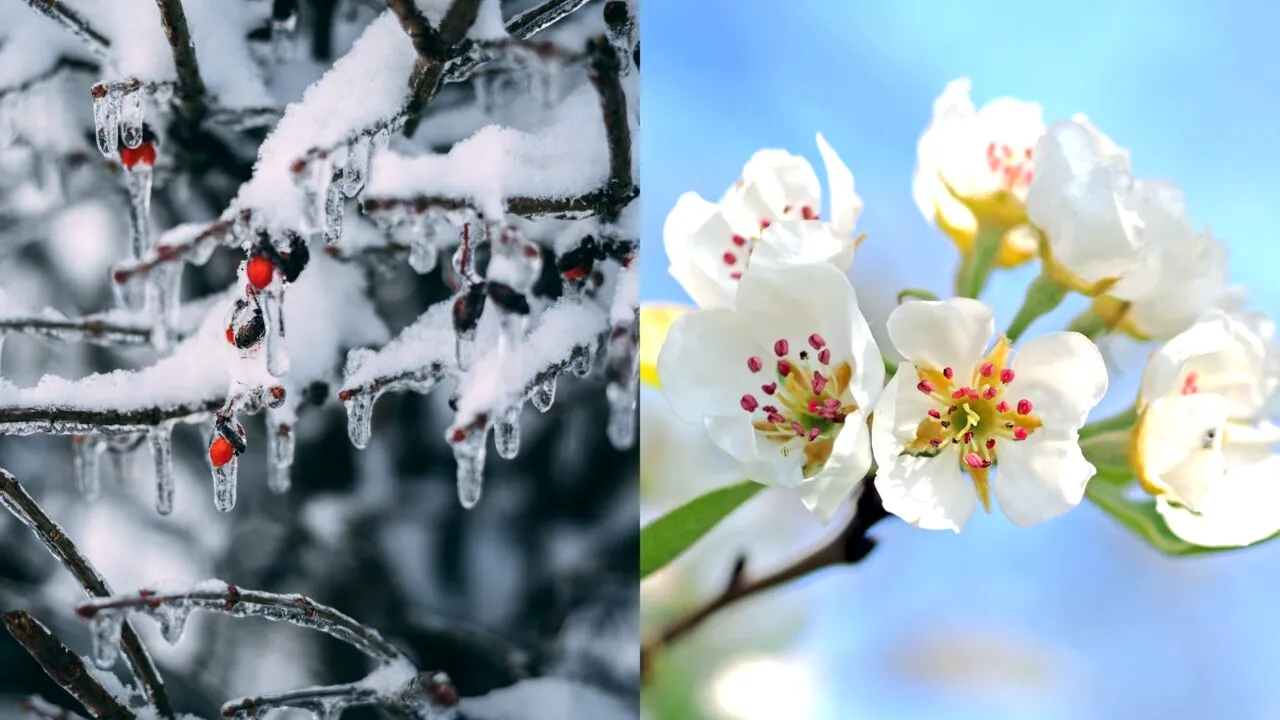 Cum va fi VREMEA în România în următoarele patru săptămâni. Prognoza actualizată