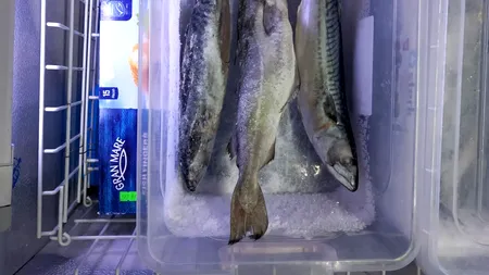 Comisarii ANPC au descoperit vitrine murdare, gândaci și pește expirat în magazinele de profil