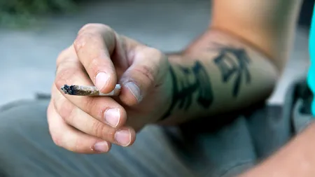 Efectele marijuanei asupra creierului și corpului uman