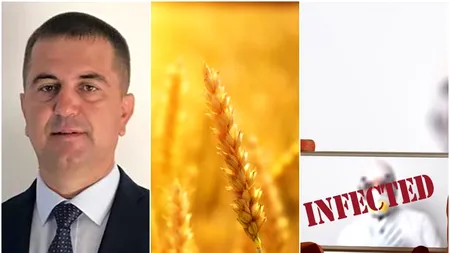 COVID-19. Fermierii spun că au stocuri de cereale. Arion, Pro Agro: „Există stocuri de materie primă și la procesatori. Ne-am lăsat pradă impulsului de moment”