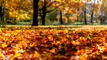 Meteorologii ANM anunță când vine toamna în România. Cum va fi vremea în următoarele patru săptămâni
