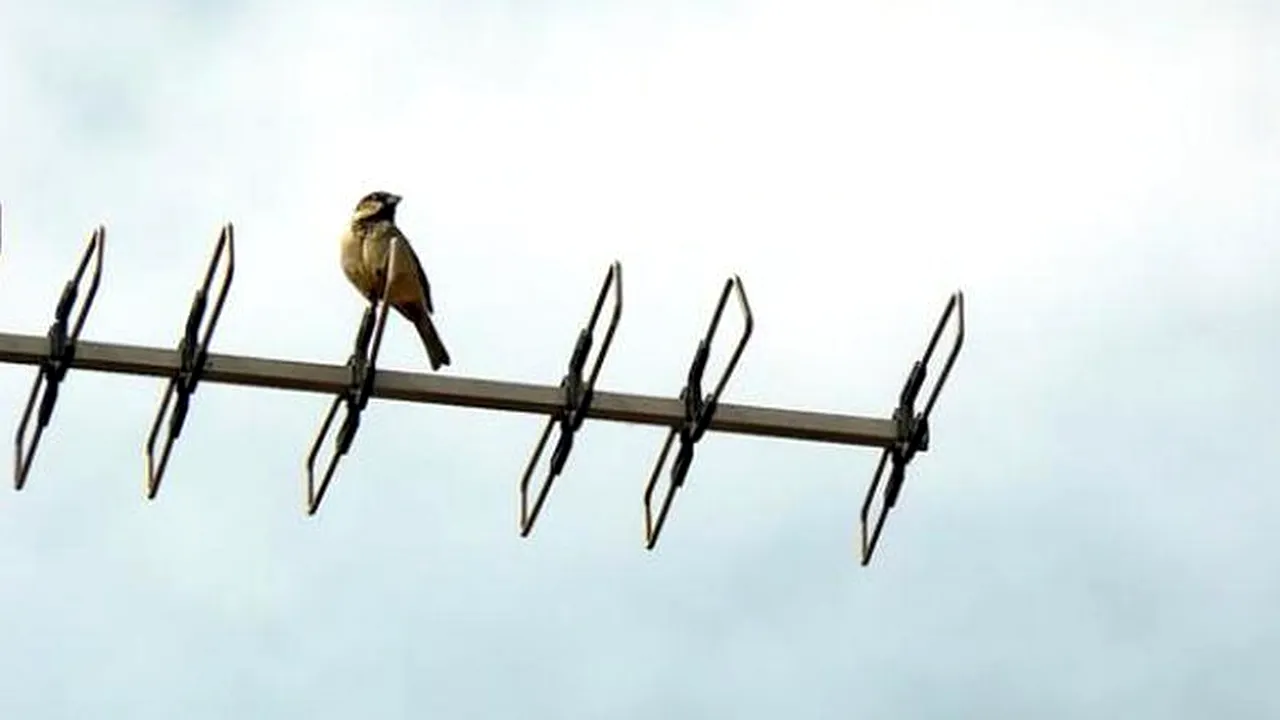 Facebook se pregătește să introducă hashtag-uri