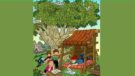 Iluzie optică virală | Puteți găsi câinele ascuns în această fotografie?