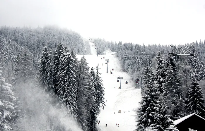poiana brasov