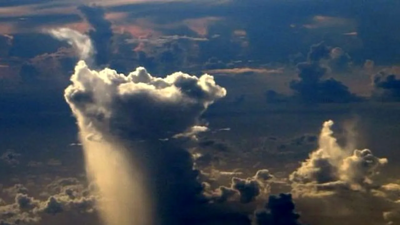 Fenomen bizar în California. Ce s-a întâmplat după o lungă perioadă de secetă