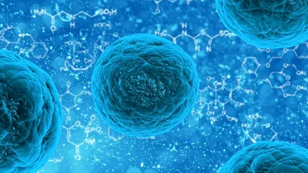Cercetătorii au descoperit un nou virus periculos în Bolivia. Se transmite de la om la om și provoacă febră hemoragică