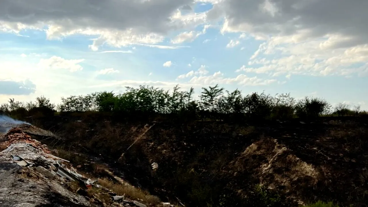 Incendiu puternic la Fetești. Ard 100 de hectare de vegetație uscată și gunoi