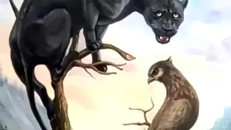 TEST de personalitate | Imaginea de mai jos îți va dezvălui dacă ai viziune de lider sau de diplomat